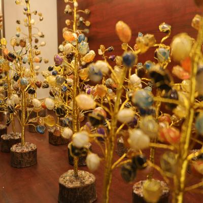 Raipur Showroom